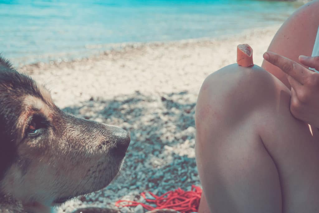 Österreich Achensee mit Hund